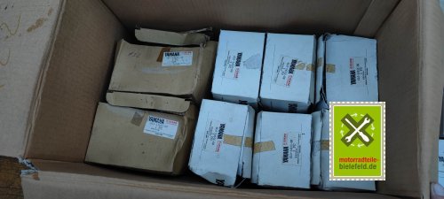 IMG_20230910_193134